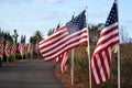 Annual Field of Honor