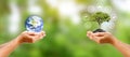 Exchange planet in human hand with a small tree in human hand and energy icon environmental conservation concept Royalty Free Stock Photo