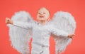 Excited angel little boy with white wings. Happy angelic children boy laughing. Cute kid with white wings. Adorable Royalty Free Stock Photo