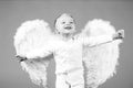 Excited angel little boy with white wings. Happy angelic children boy laughing. Cute kid with white wings. Adorable Royalty Free Stock Photo