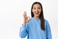 Excited brunette girl shows okay, zero OK sign and smiling amused, agree with you, like and approve, praise great thing Royalty Free Stock Photo