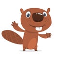 Excited cartoon beaver waving with his hands. Brown beaver mascot. Vector illustration. Royalty Free Stock Photo