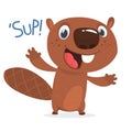 Excited cartoon beaver waving with his hands saying `Sup!`. Brown beaver character. Vector illustration. Royalty Free Stock Photo