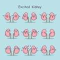 Excited cartoon kidney
