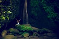 Excited Caucasian woman raising arms in front of waterfall. View from back. Leke Leke waterfall, Bali, Indonesia Royalty Free Stock Photo