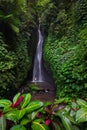 Excited Caucasian woman raising arms in front of waterfall. View from back. Leke Leke waterfall, Bali, Indonesia Royalty Free Stock Photo