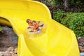 Excited children in water park riding on slide with float Royalty Free Stock Photo