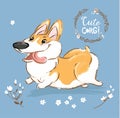 Excited Corgi Dog Run Tongue Out Vector Poster. Happy Fox Pet Character Walk Outdoor in Flowers. Little Funny Welsh