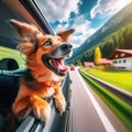 Excited dog loves traveling in car, looking through window