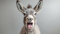 Excited donkey with mouth open displaying joyful expression in a neutral background setting Royalty Free Stock Photo