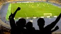 Excited football fans cheering team during soccer match at crowded stadium