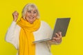 Excited happy senior woman working on laptop winning lottery game, celebrating success, victory Royalty Free Stock Photo