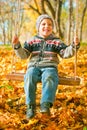 Excited little boy on a swing outdoor Royalty Free Stock Photo