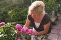 Excited mature caucasian female gardener caring blossoming bush roses in yard