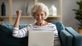 Excited older woman looking at laptop screen, rejoicing win