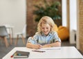 Excited school boy smiling and doing sums, writing in his notebook while sitting at the desk in classroom Royalty Free Stock Photo