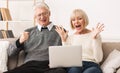 Excited senior couple celebrating victory, winning online auction bid