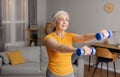 Excited senior woman doing domestic training, working out with dumbbells, exercising her biceps at home, free space Royalty Free Stock Photo