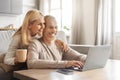 Excited smiling senior spouses using laptop computer at home Royalty Free Stock Photo