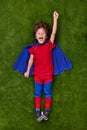 Excited superhero reaching dream on lawn