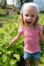 Excited young girl points to the fast growing beans in her vegetable patch Royalty Free Stock Photo