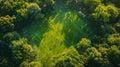 Exciting aerial view of kids soccer match in park with cheering parents on vivid green field Royalty Free Stock Photo