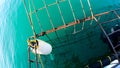 Exciting cage diving for shark at South Africa tourist attraction
