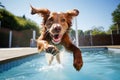 Exciting Dog jump in pool. Generate Ai Royalty Free Stock Photo