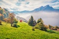 Exciting morning view of outskirts of  Stansstad town, Switzerland, Europe. Breathtaking autumn scene of  Lucerne lake. Attractive Royalty Free Stock Photo