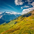 Exciting summer view of snowy mountain peaks in French Alps, Chamonix location. Royalty Free Stock Photo