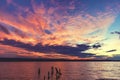 Dead tree stumps In the water Royalty Free Stock Photo