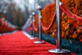 Concept VIP Exclusive Access Red Carpet and Velvet Rope for VIP Events and Glamorous Occasions Royalty Free Stock Photo