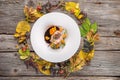 Exclusive autumn food on white plate decorated with flower, herbs, sauce and leaves, product photography for restaurant, beef or