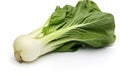 Exclusive Bok Choy Culinary Delight on White Background