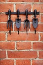 Exclusive hooks in the form of a cast-iron trident