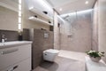 Exclusive modern bathroom