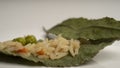 EXCLUSIVE RICE DISH THREE DELIGHTS ON A LEAF Royalty Free Stock Photo