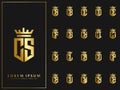 Exclusive set of initial C letter with crown elements logo template. luxury gold initial shield shape alphabet vector design stock Royalty Free Stock Photo