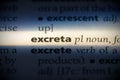 Excreta Royalty Free Stock Photo