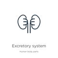 Excretory system icon. Thin linear excretory system outline icon isolated on white background from human body parts collection.