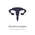 excretory system outline icon. isolated line vector illustration from human body parts collection. editable thin stroke excretory