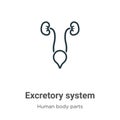 Excretory system outline vector icon. Thin line black excretory system icon, flat vector simple element illustration from editable