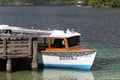 Excursion boat in nature scenery, Lake Bohinjsko jezero, Bohinj, Slovenia