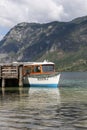 Excursion boat in nature scenery, Lake Bohinjsko jezero, Bohinj, Slovenia