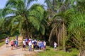 Excursion to Banana plantations Royalty Free Stock Photo