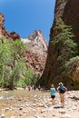 Excursions in the Zion Narrows National Park Royalty Free Stock Photo