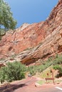 Excursions in the Zion Narrows National Park Royalty Free Stock Photo