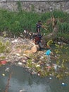 execution of fallen trees in rivers to anticipate flooding