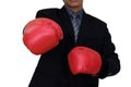 executive businessman fight in business
