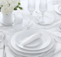 Executive dinner table plates premium set white color